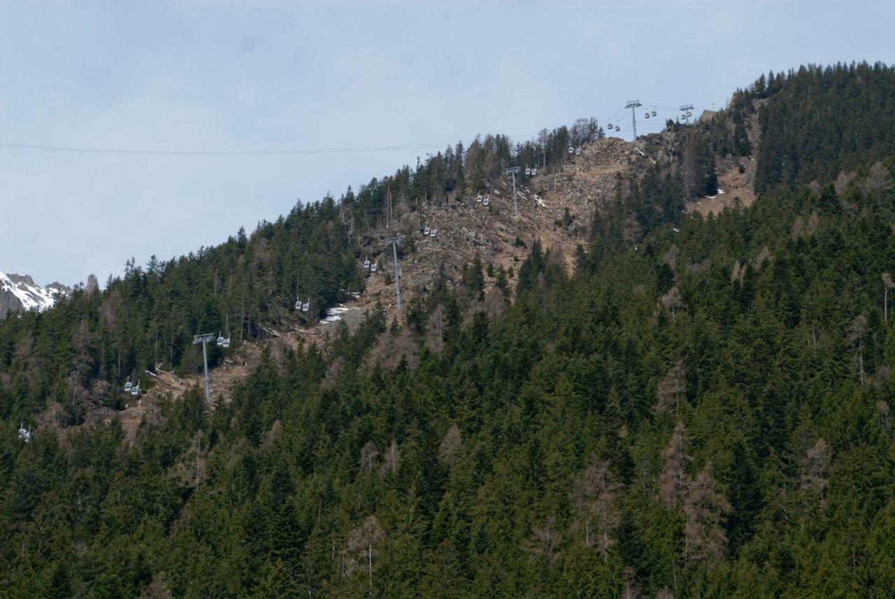 Front Ski Slope Chamonix Apartment Dış mekan fotoğraf